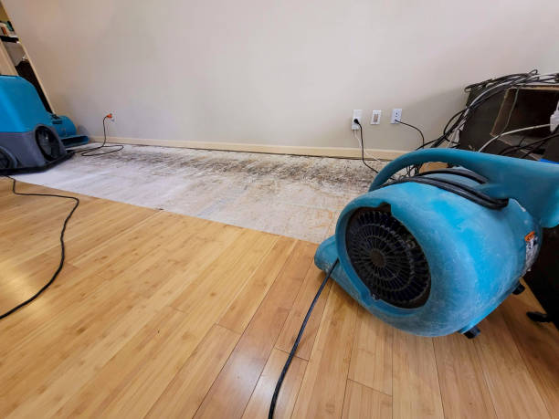 Professional Flood Damage Cleanup technician working in Jacksonville, AL